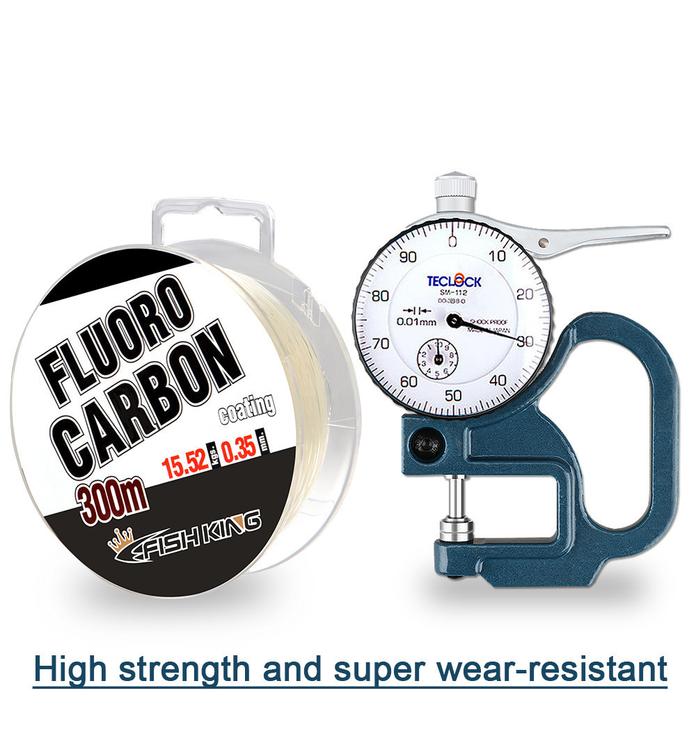 Vollflorocarbon-Angelschnur 30 – Copolymer Line Bewertung und Preis